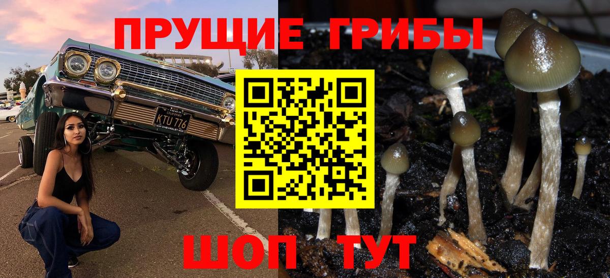 Пятигорск  Галлюциногенные грибы Magic Shrooms  Псилоцибиновые грибы Cubensis  Вход с VPN 